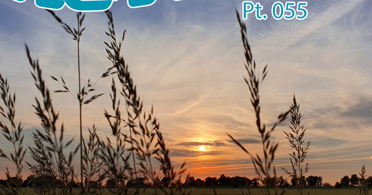 Cover Herrlich Podcast #55